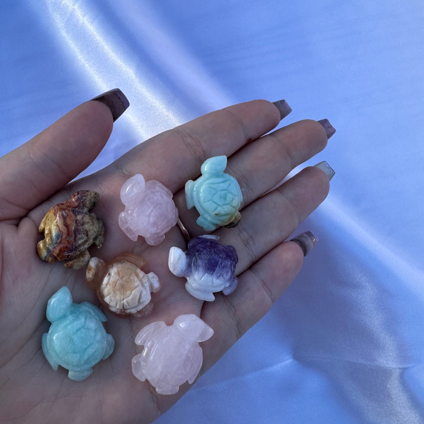 Mini Sea Turtles