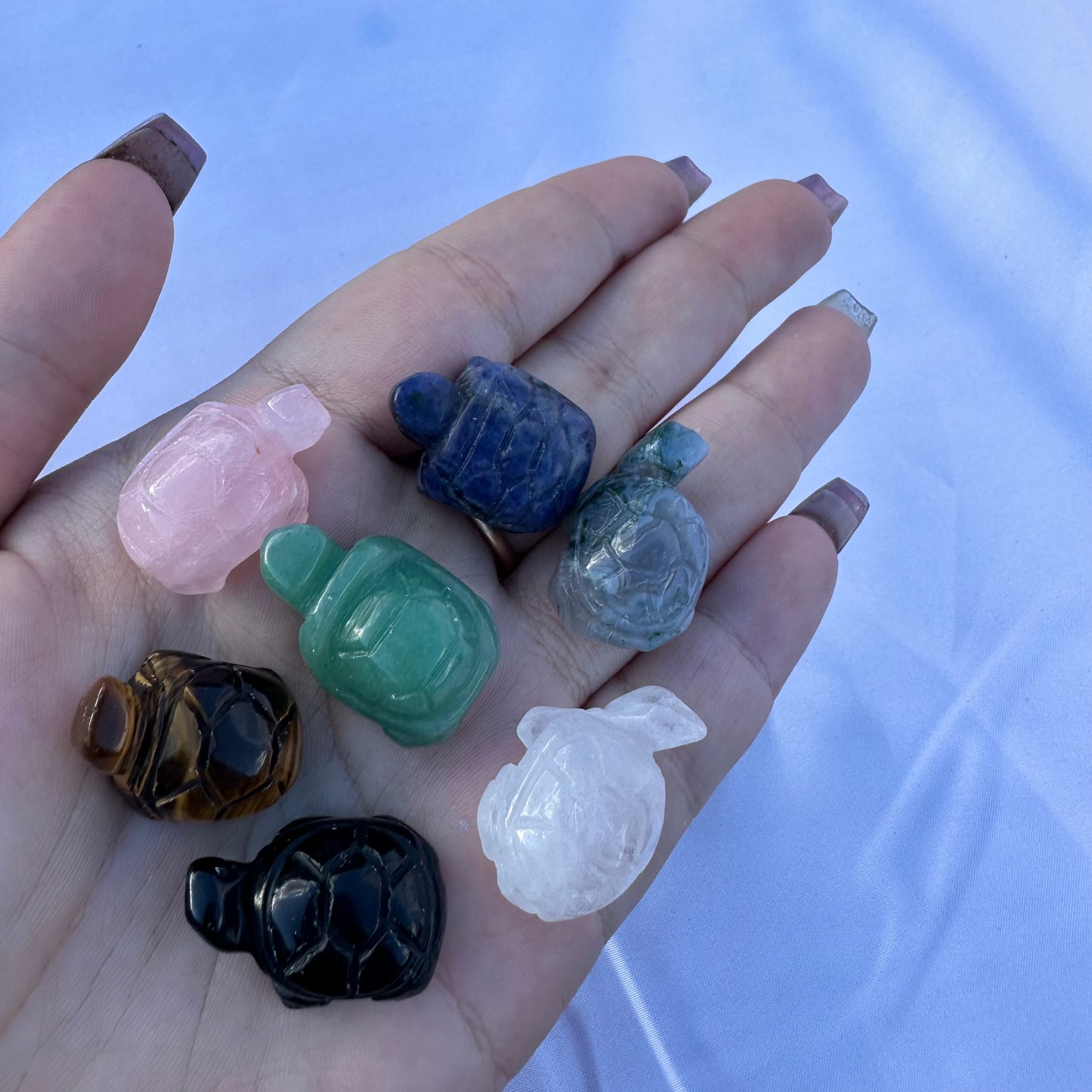 Mini Turtles