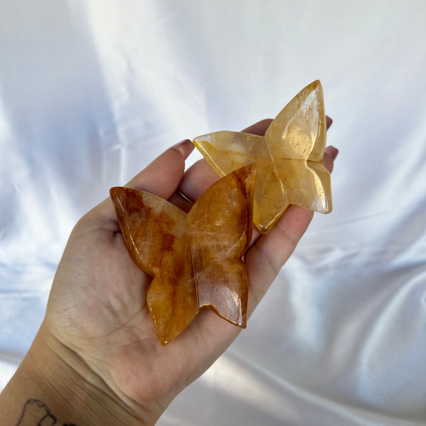 Golden healer butterfly