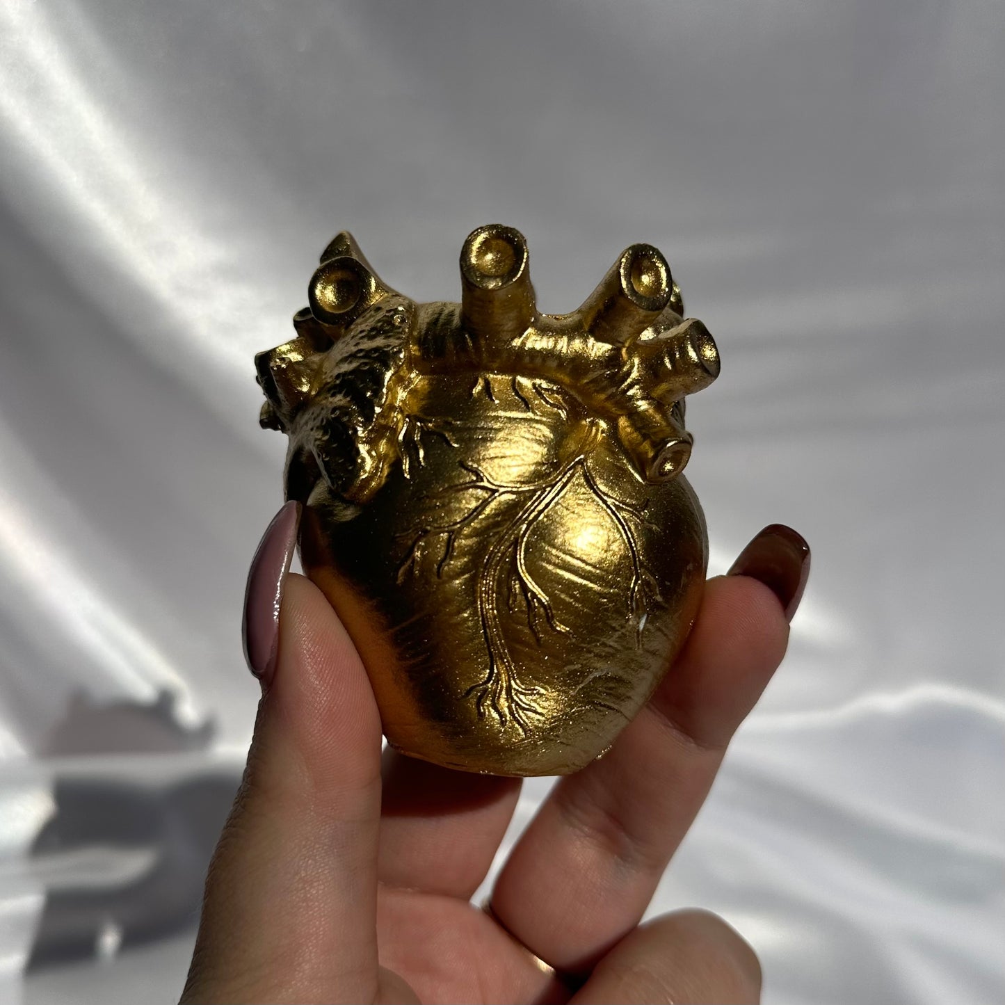 Anatomical heart sphere stand