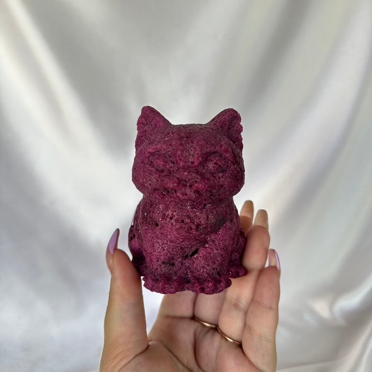 Ruby cat