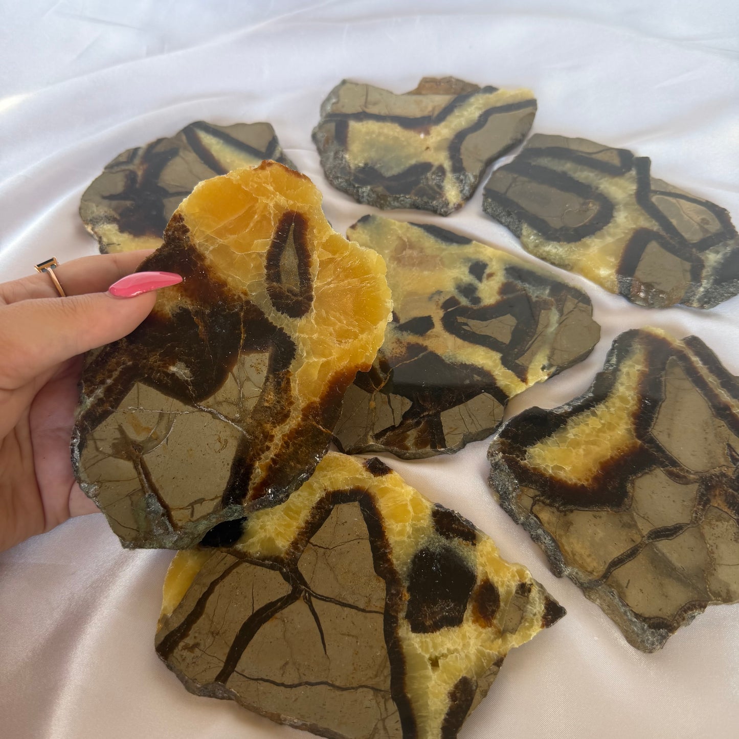 Septarian slabs