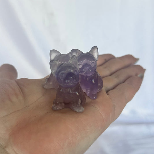Small purple fluorite frenchie