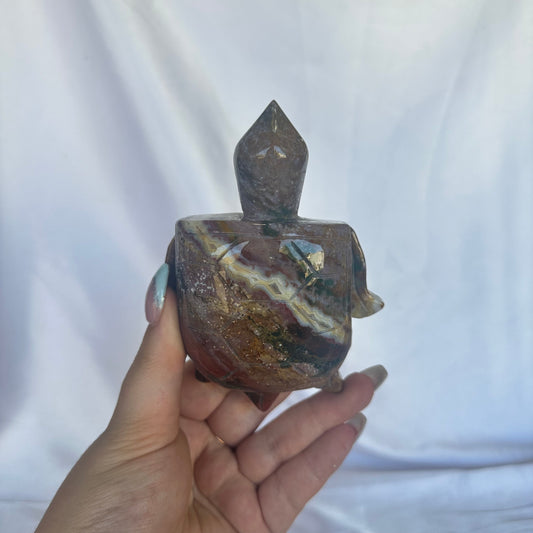 Ocean jasper turtle