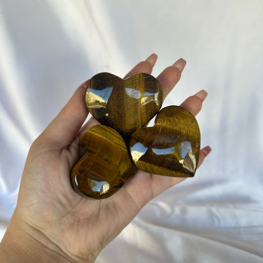 Tigers eye hearts