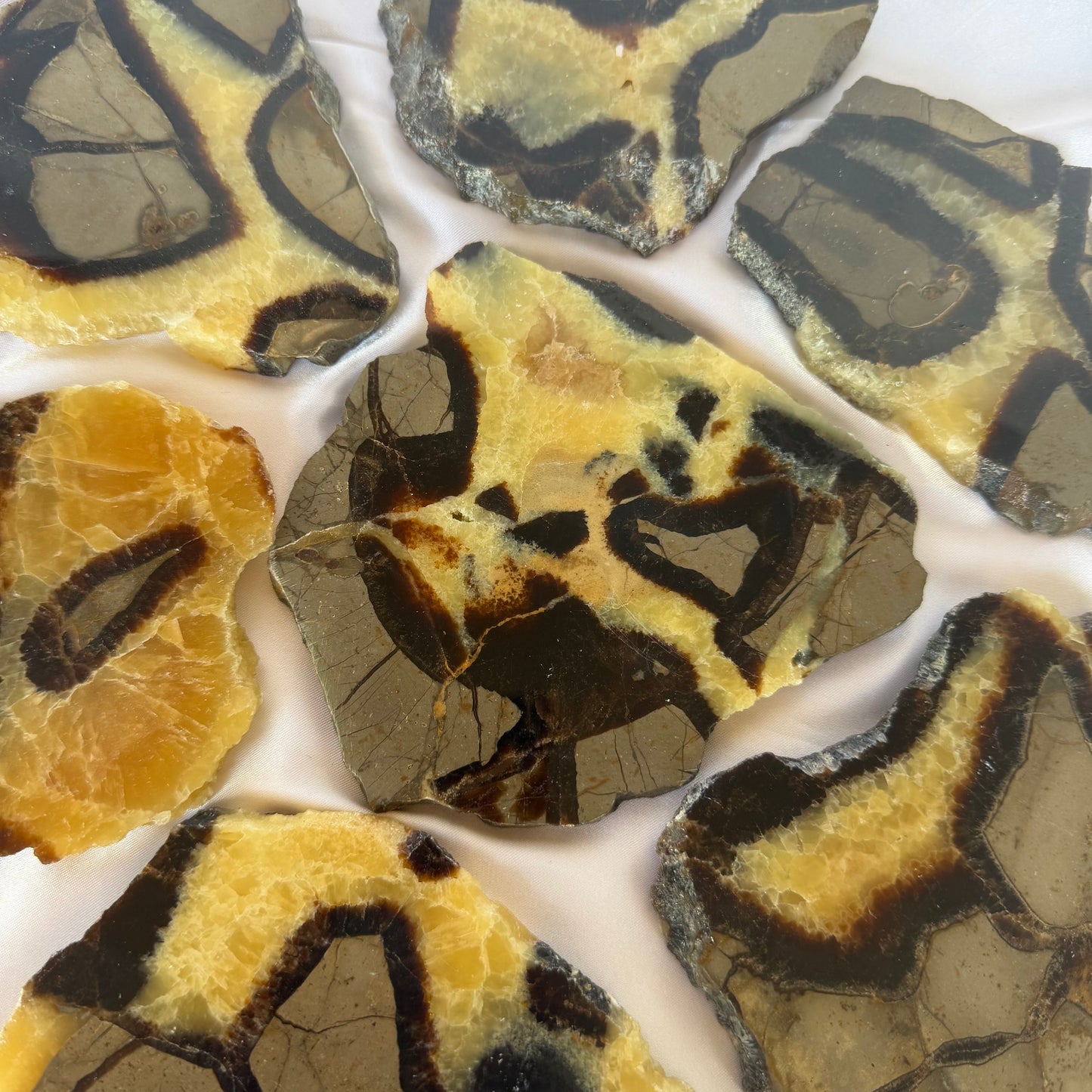 Septarian slabs