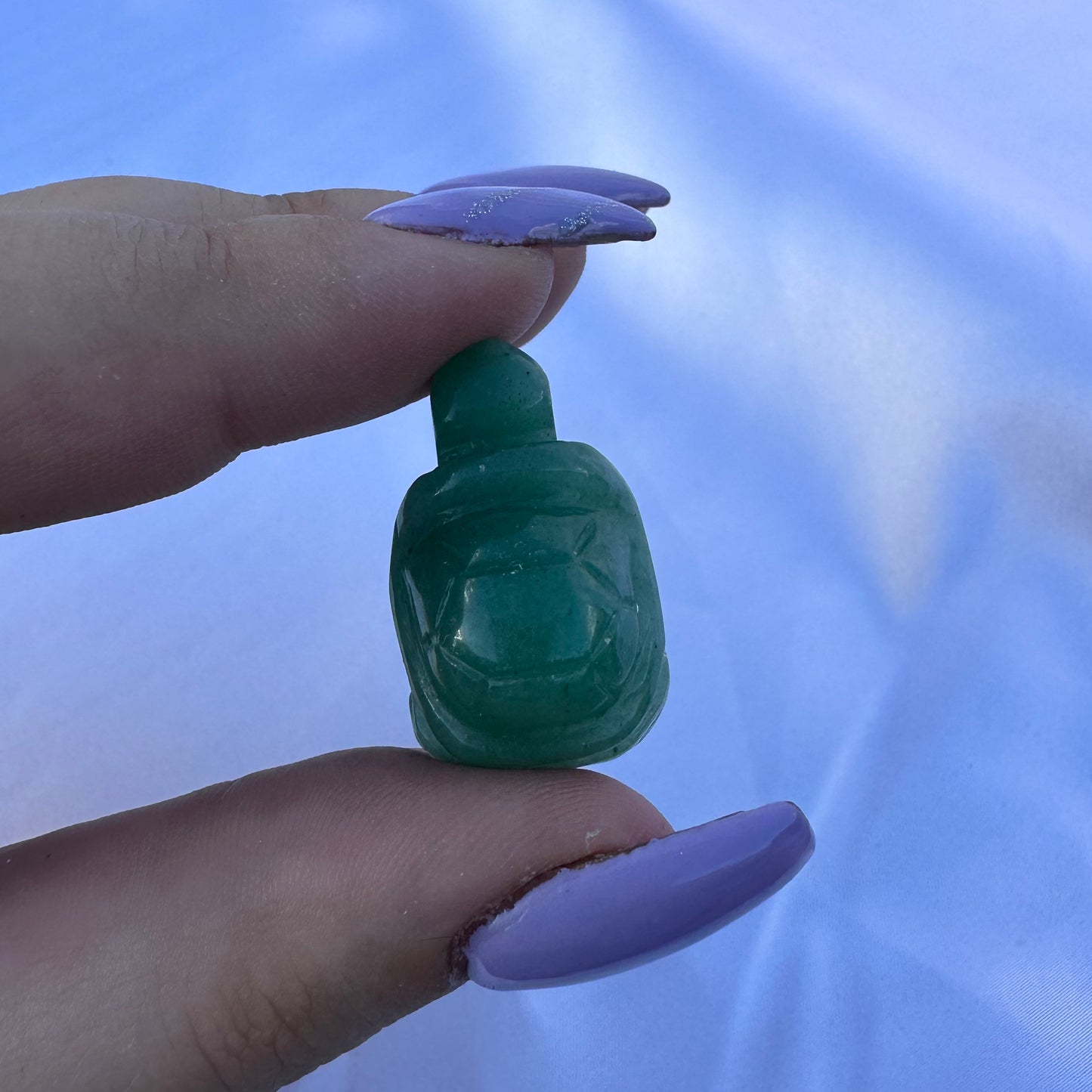 Mini Turtles
