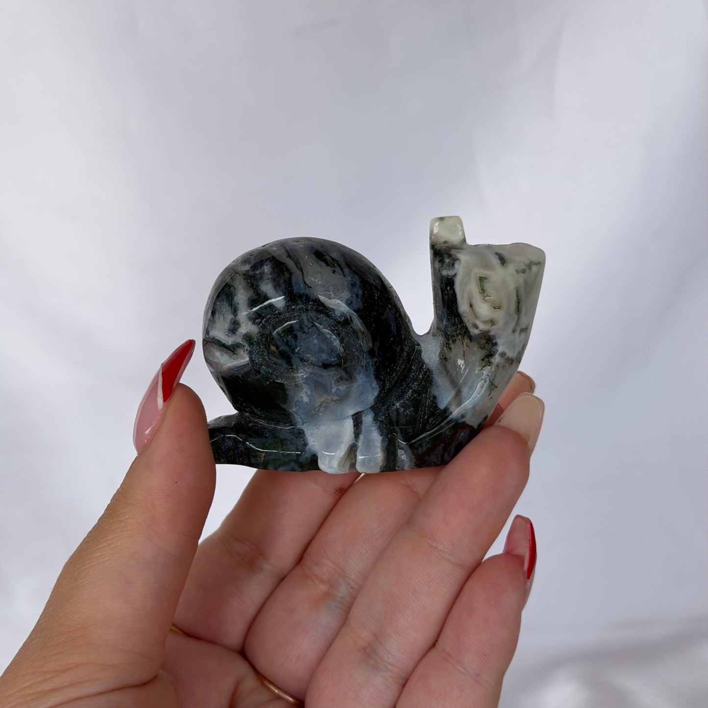 Moss agate snail