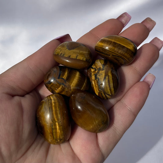 Tigers eye tumble