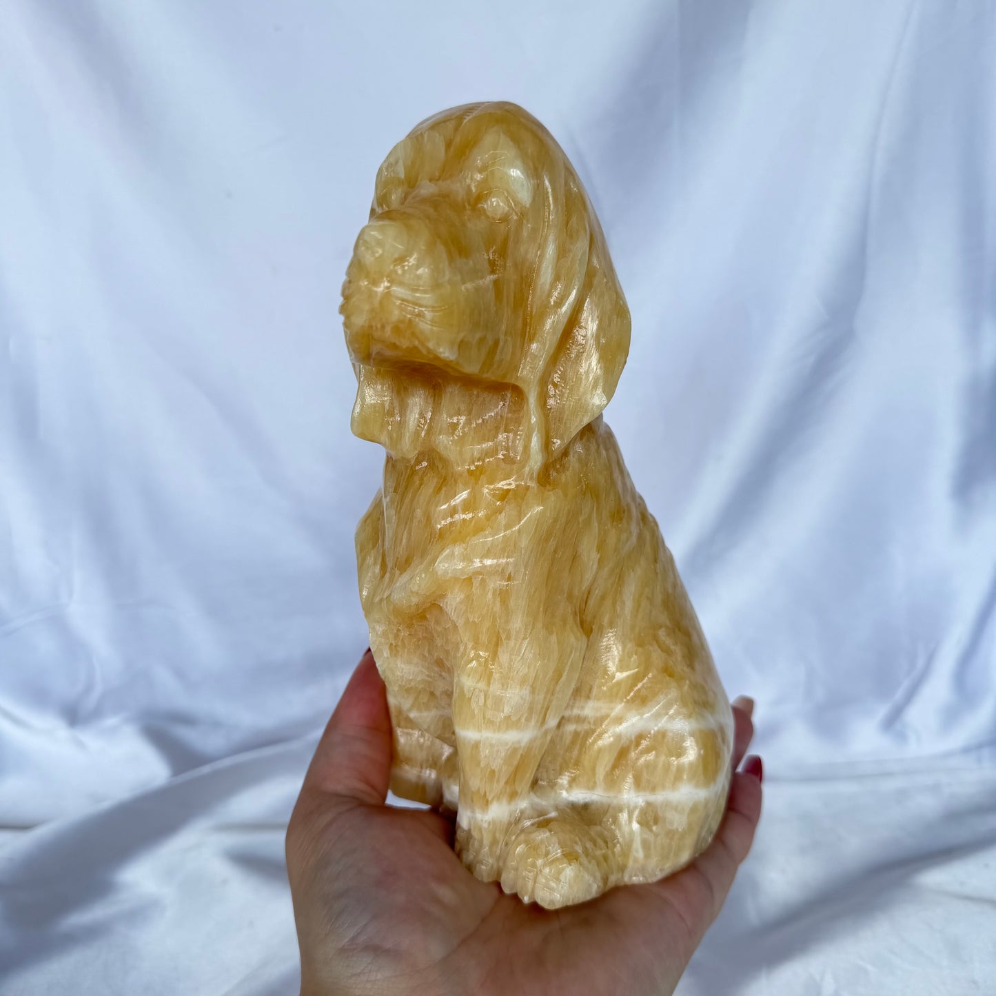 Orange calcite XXL dog