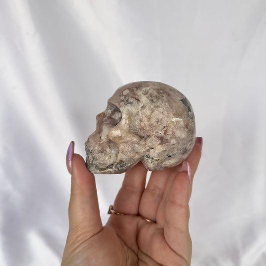 PA & FA skull #34