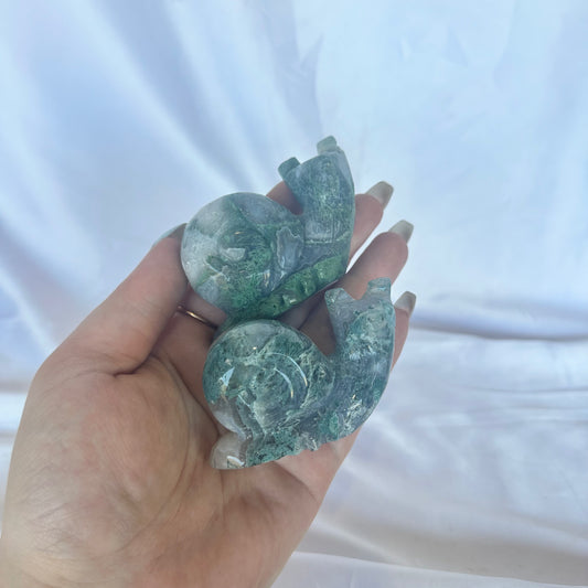 Moss agate snail
